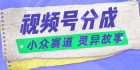 视频号掘金项目被划分为一个小众赛道，里面有超自然的...